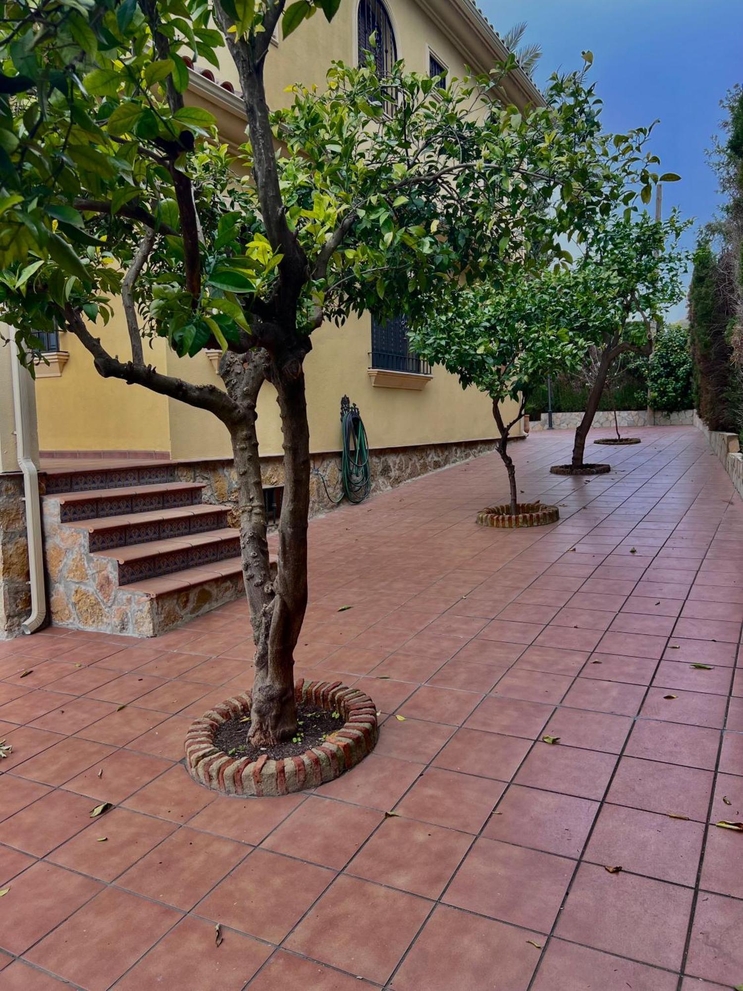 El Carmen Βίλα Κόρδοβα Εξωτερικό φωτογραφία